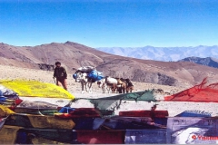 Ladakh001