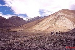Ladakh009