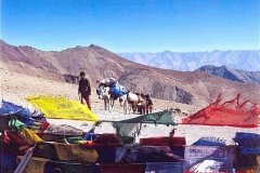 YasminLadakh-001