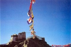 YasminLadakh-004