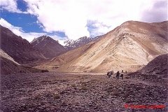 YasminLadakh-008