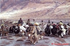 YasminLadakh-010