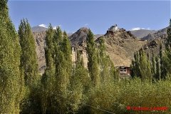 YasminLadakh-018