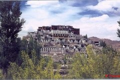YasminLadakh003