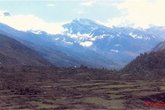 YasminLadakh012