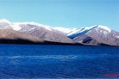 YasminLadakh013