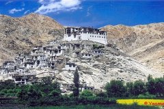YasminLadakh015