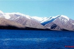 YasminLadakh017