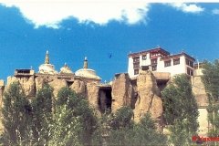 YasminLadakh018