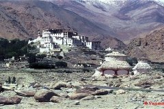 YasminLadakh019