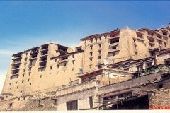 YasminLadakh021
